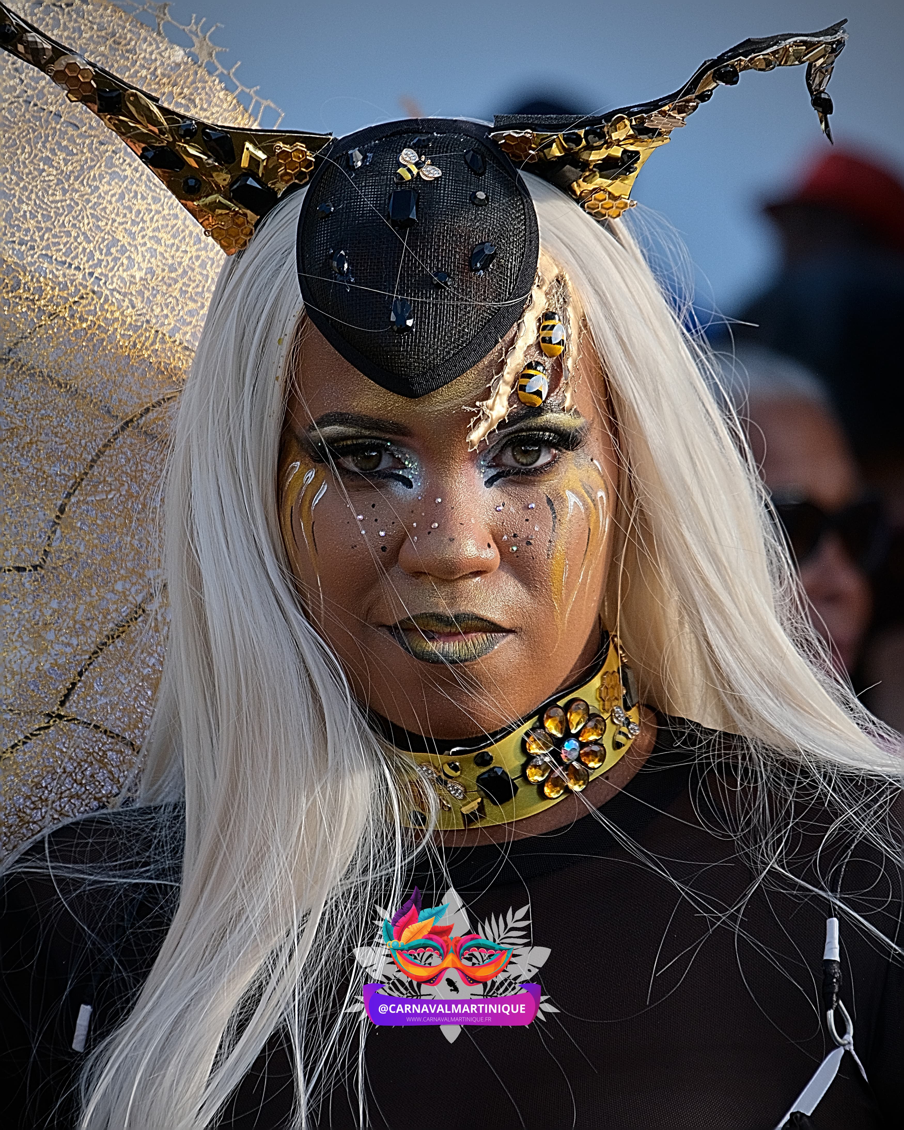 Groupe costumé du Carnaval de la Martinique en parade